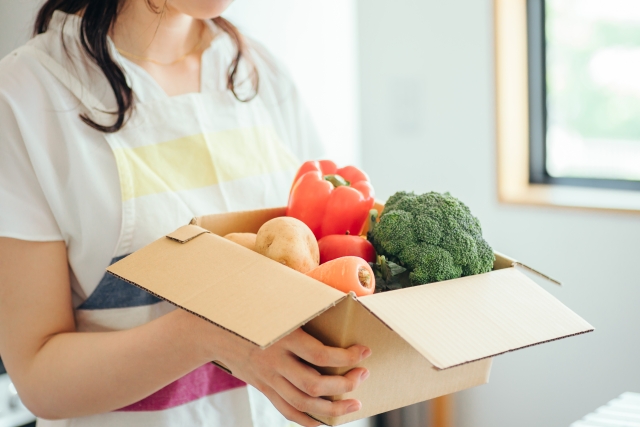 ミールキットのメリット・デメリット